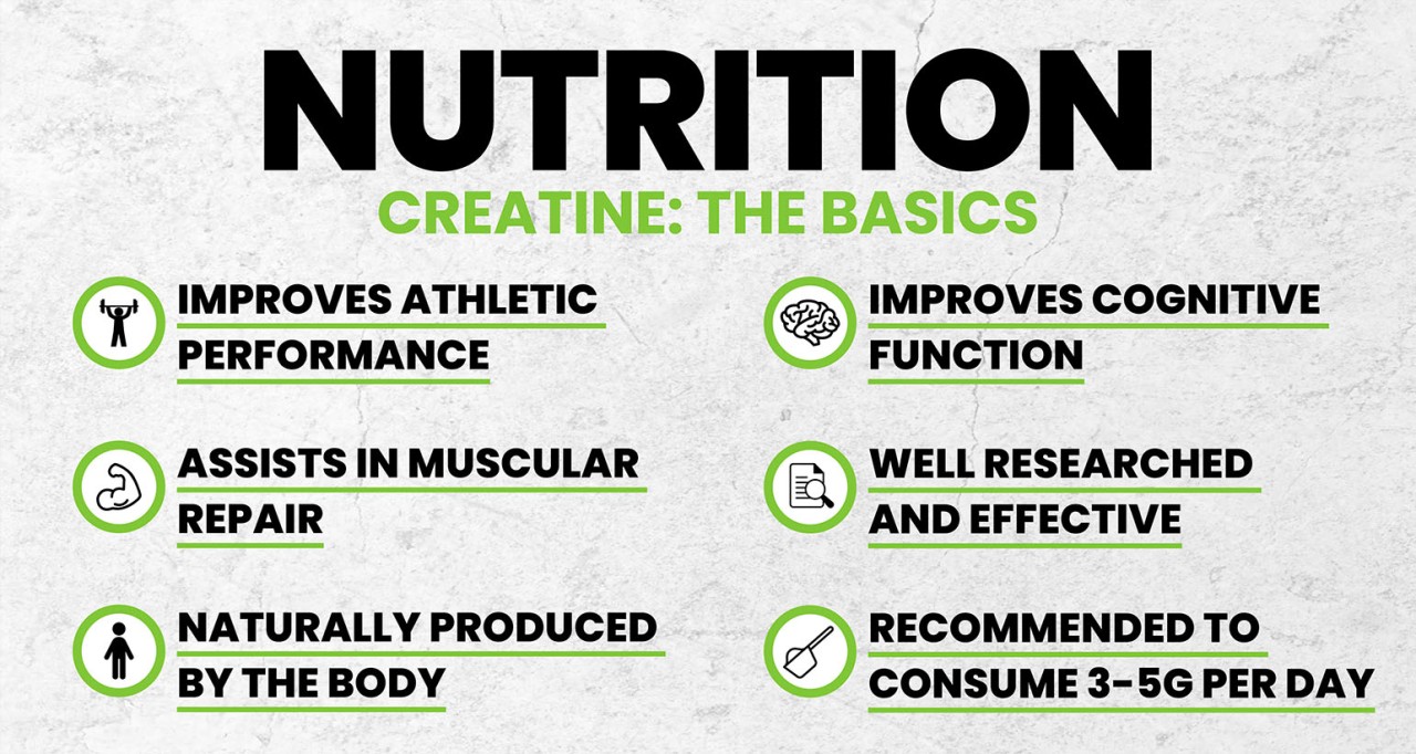 nutrition-the-basics