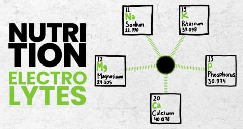 nutrition-electrolytes